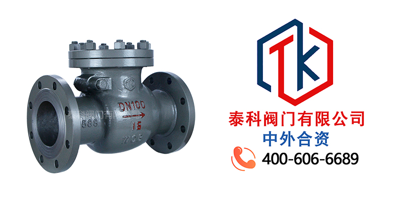 1758677452927376.jpg 旋启式止回阀拼图尼必可.jpg