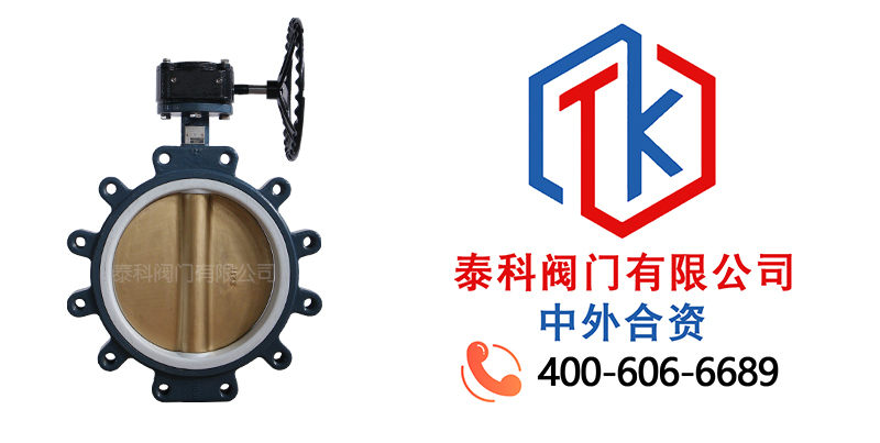 1762220354180706.jpg 蜗轮对夹支耳蝶阀拼图.jpg