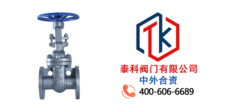 1764725564864486.jpg 铸钢法兰闸阀拼图尼必可.jpg